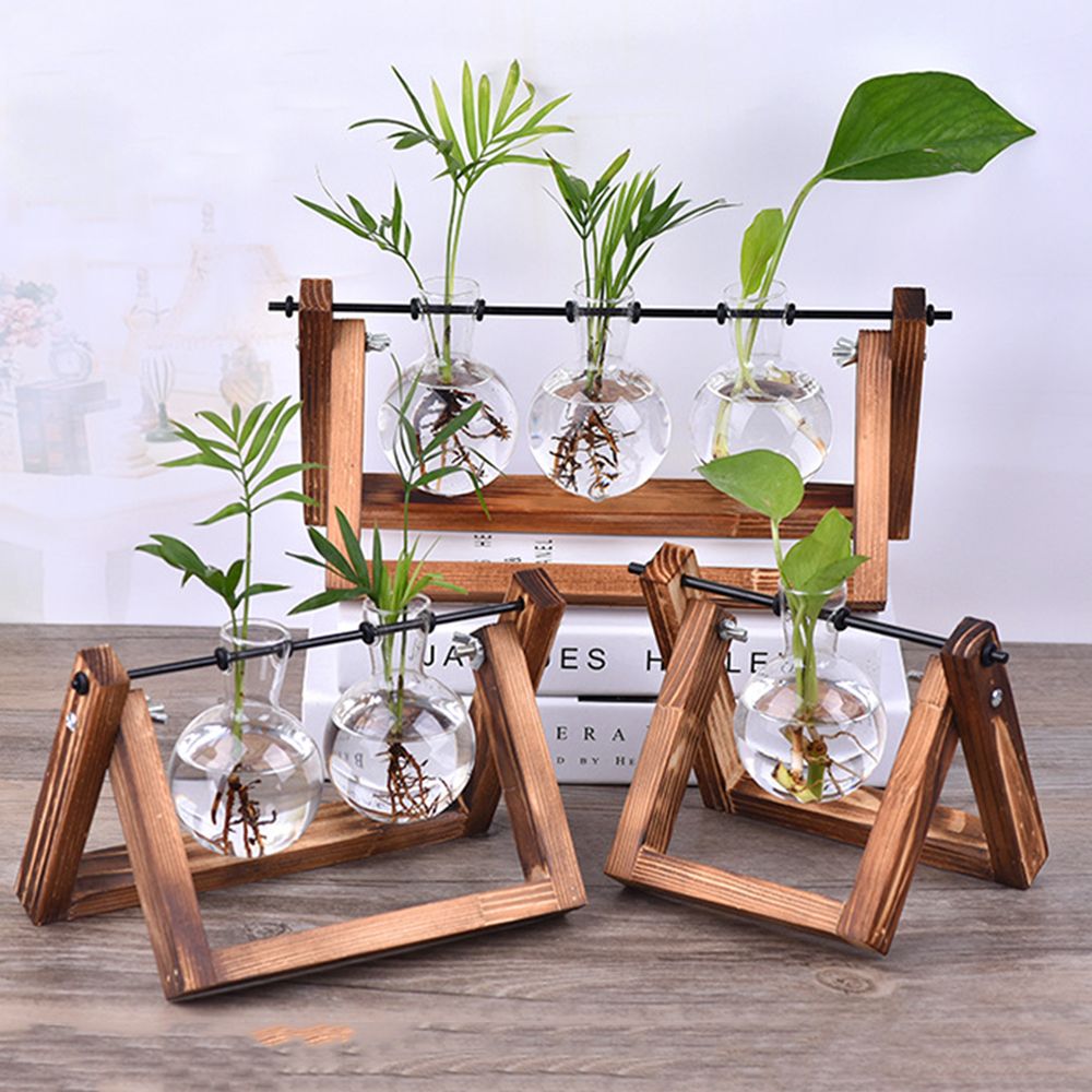 Hydroponic Plant Vases Glass V - Glass Vase Nordic 리뷰 및 가격