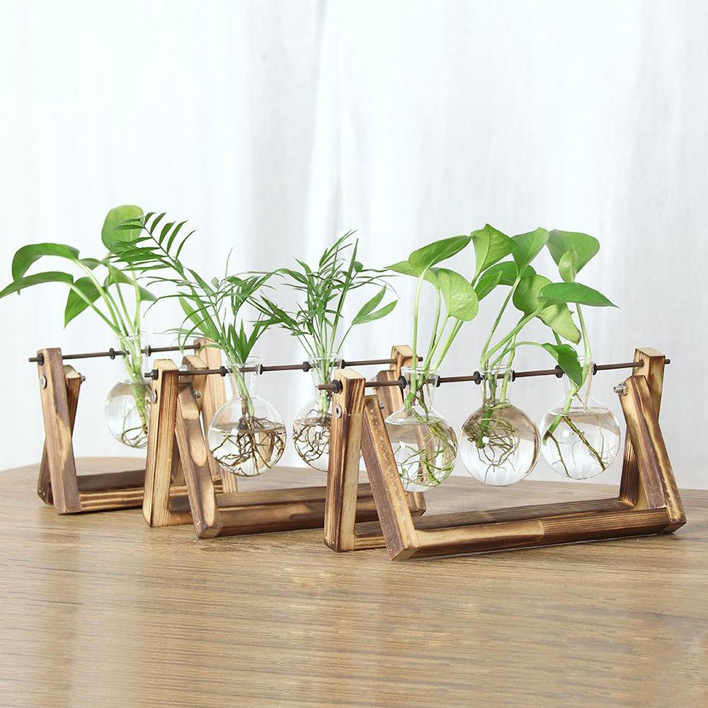 Hydroponic Plant Vases Glass V - Glass Vase Nordic 리뷰 및 가격