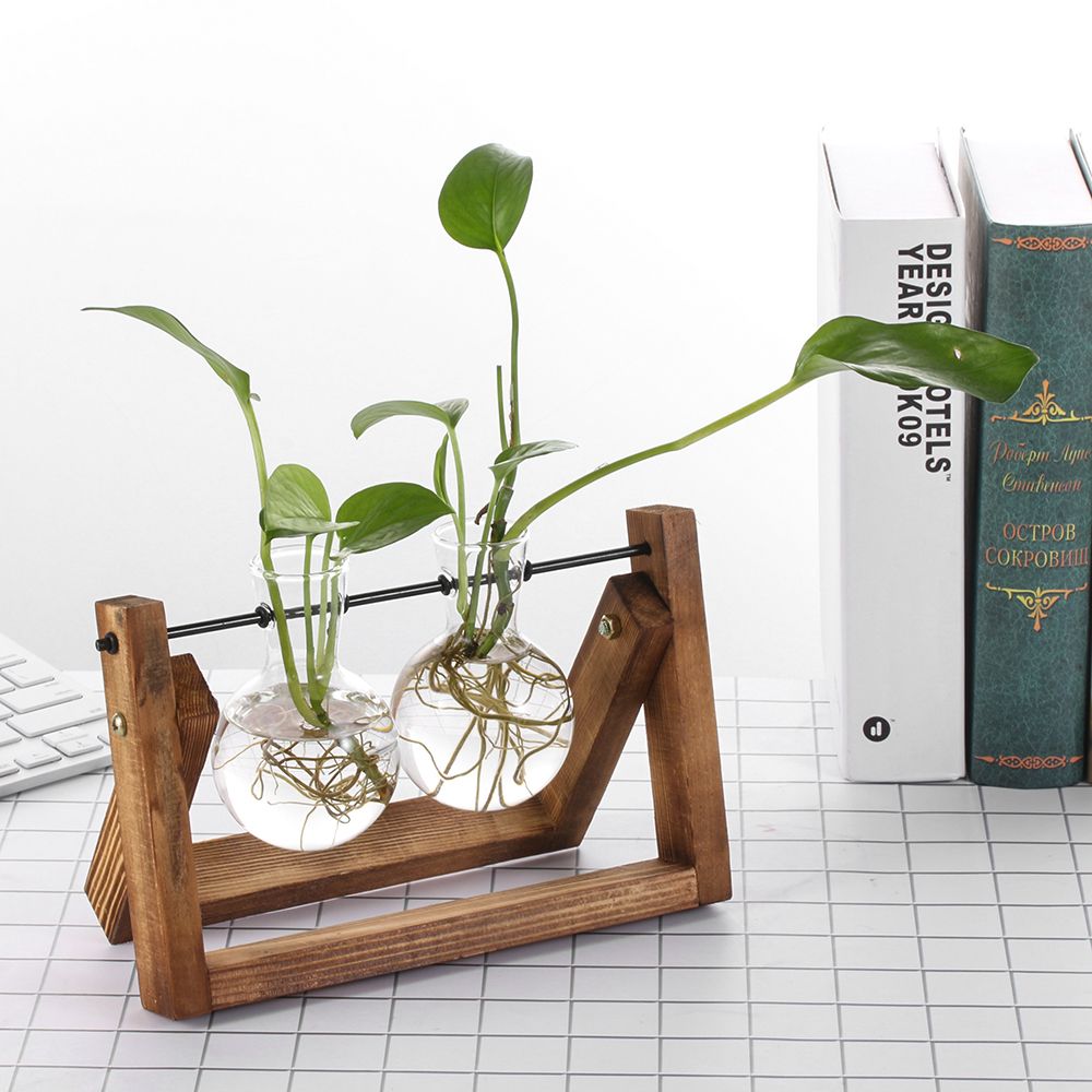 Hydroponic Plant Vases Glass V - Glass Vase Nordic 리뷰 및 가격