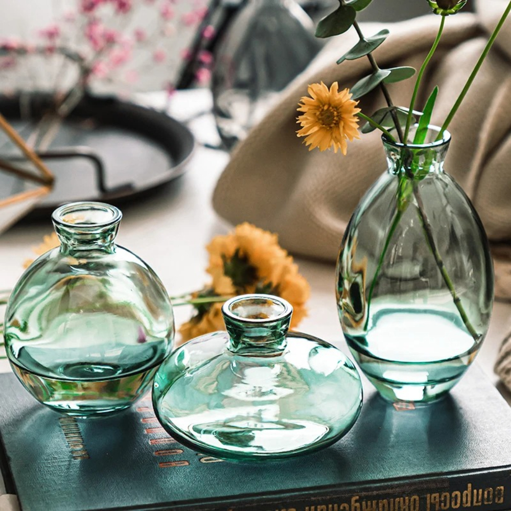 Nordic Transparent Glass Vase  - Glass Vase Nordic 리뷰 및 가격