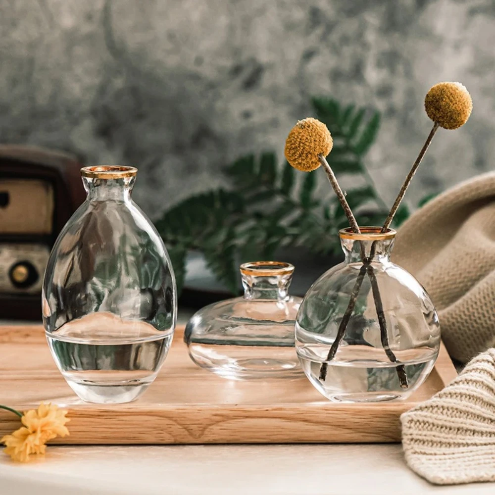 Nordic Transparent Glass Vase  - Glass Vase Nordic 리뷰 및 가격