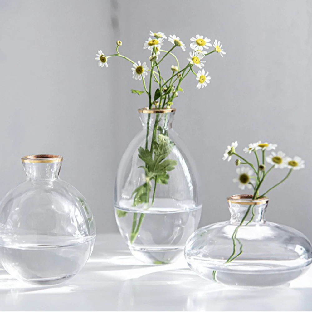 Nordic Transparent Glass Vase  - Glass Vase Nordic 리뷰 및 가격