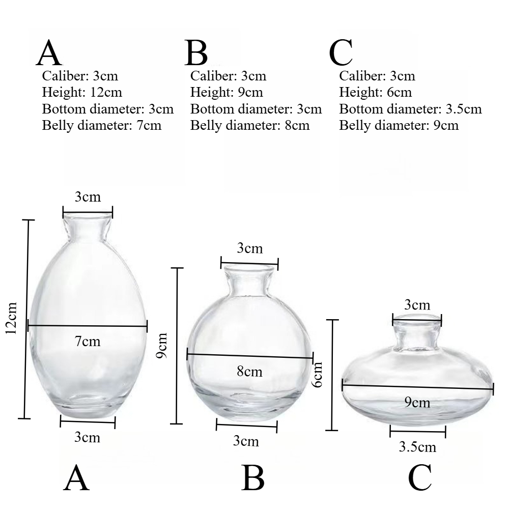Nordic Transparent Glass Vase  - Glass Vase Nordic 리뷰 및 가격