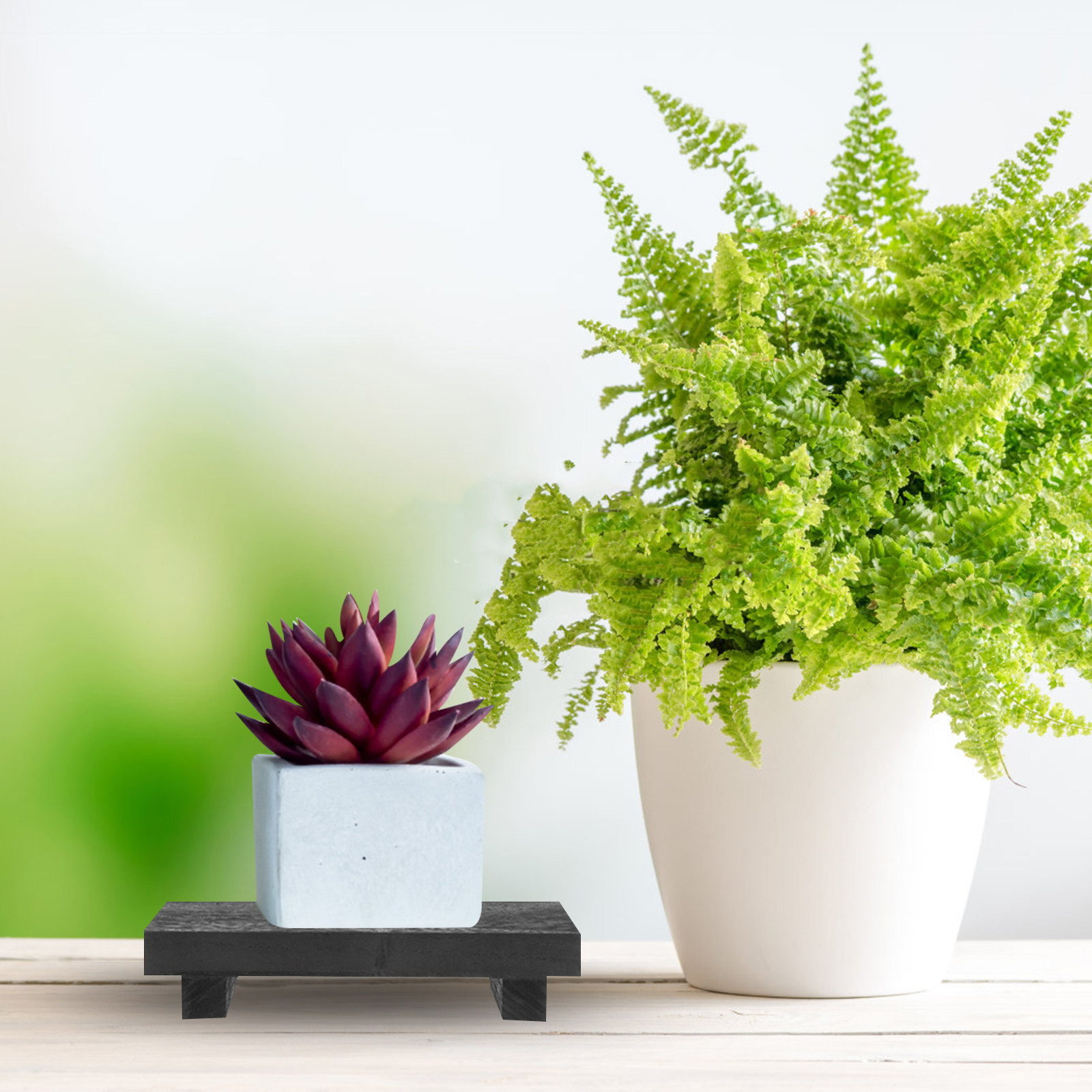 Wood Soap Riser Tray Rectangul - Home Decor Kitchen 리뷰 및 가격