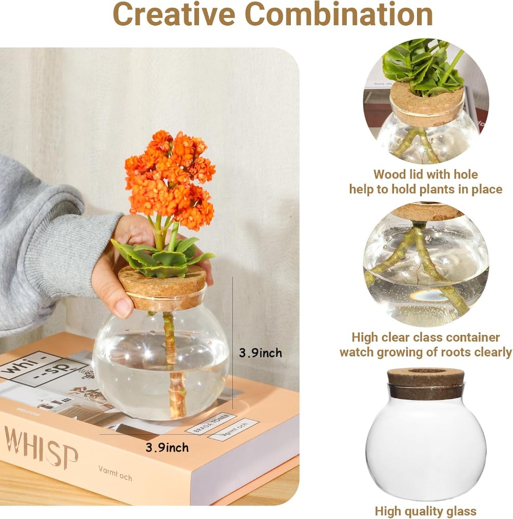 Hydroponic Plant Propagation S - Glass Vase Nordic 리뷰 및 가격