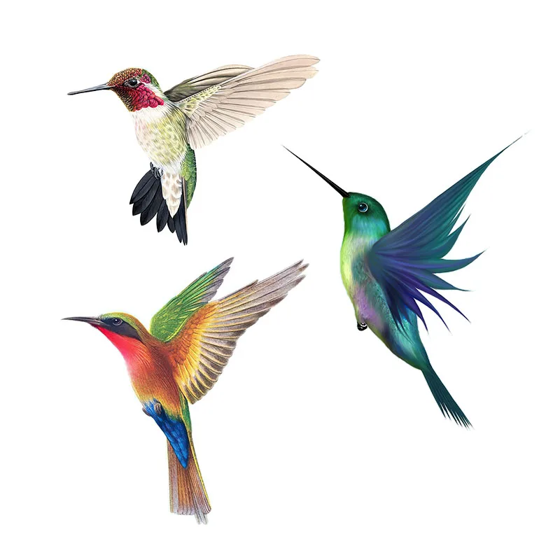 Beautiful Hummingbird Hand Pai - Home Decor Aesthetic Pinterest 리뷰 및 가격